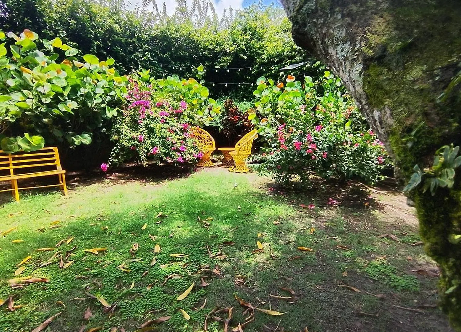 Paraiso Hortensia Ecolodge 산티아고 데 로스 카바예로스 B&B